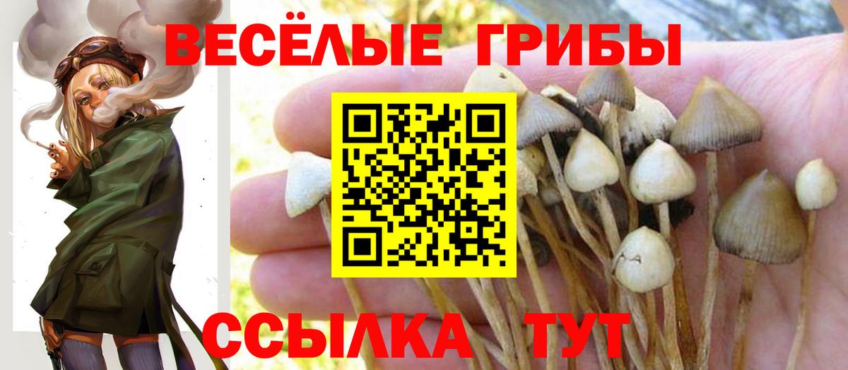 Псилоцибиновые грибы MAGIC MUSHROOMS Асино
